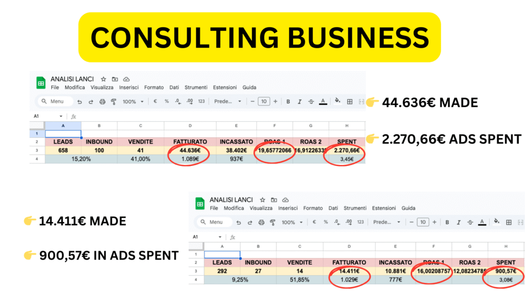 Client’s consulting business earns €44,636 and €14,411 from two campaigns with support from Albert, spending under €3,200 in ads